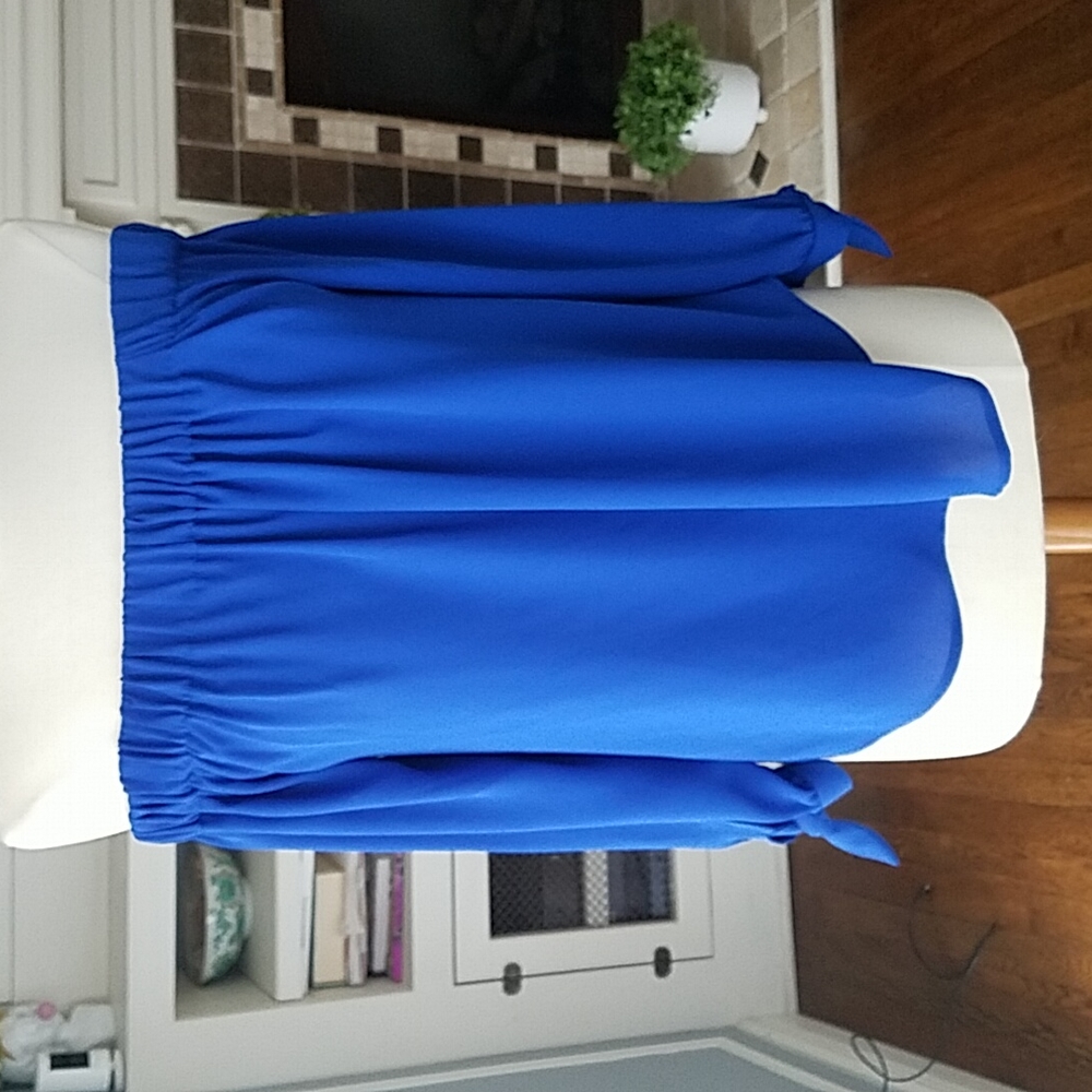 Express Royal Blue Off The Shoulder  Long Sleeve Top